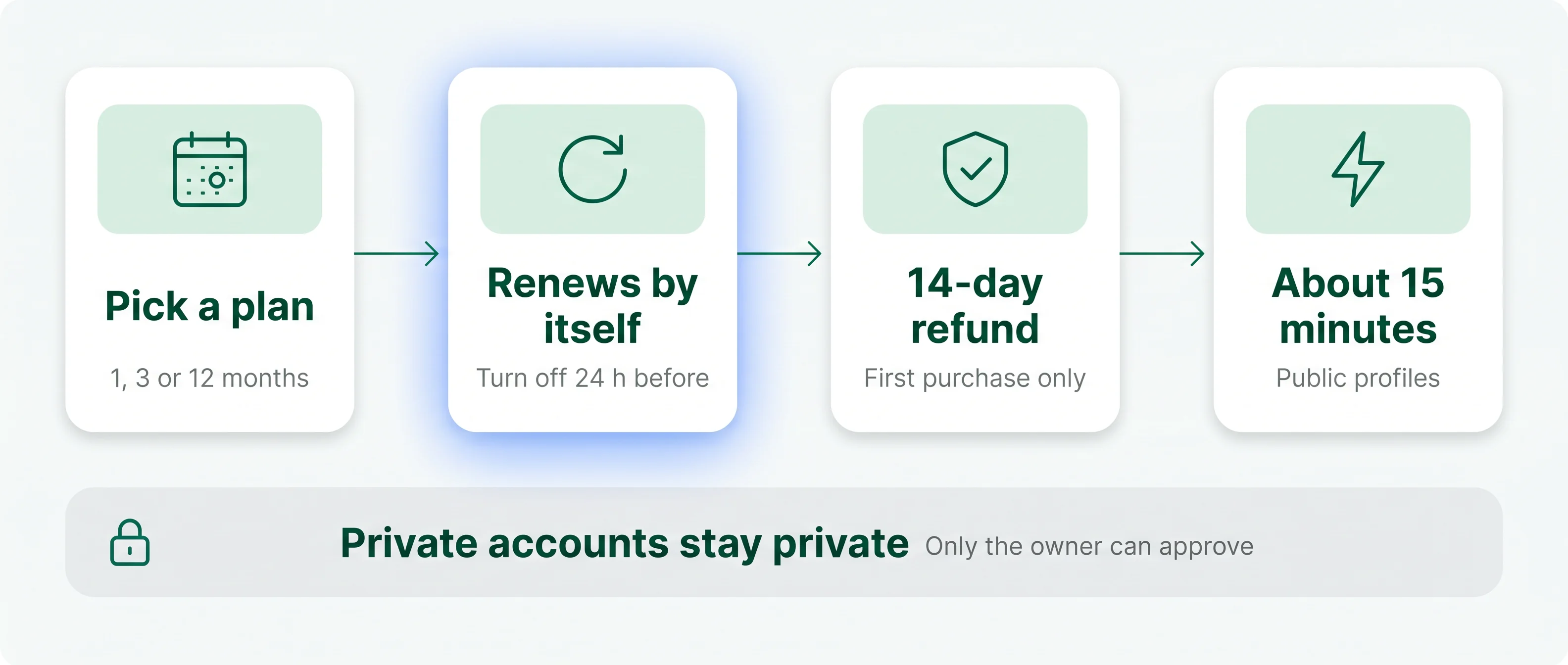 How PeekViewer billing works in four steps: pick a 1, 3 or 12-month plan; it renews by itself unless turned off 24 hours before; a 14-day refund on the first purchase only; about 15 minutes for public profiles. A band below says private accounts stay private.